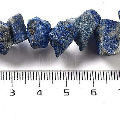 Raw Rough Natural Lapis Lazuli Beads Strands G-P528-A14-01-1