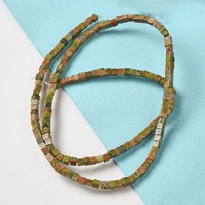 Natural Unakite Beads Strands G-B064-A10-1