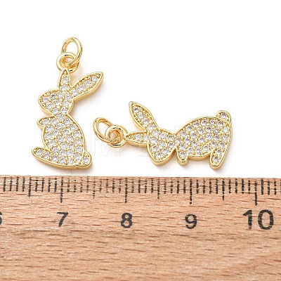 Brass Micro Pave Clear Cubic Zirconia Pendants CU-E003-18G-09-1