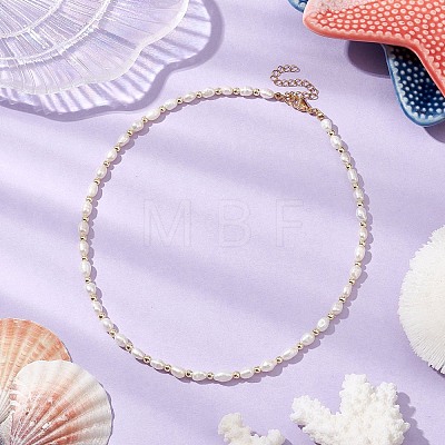 Natural Cultured Freshwater Pearl Beaded Necklaces NJEW-JN05058-1