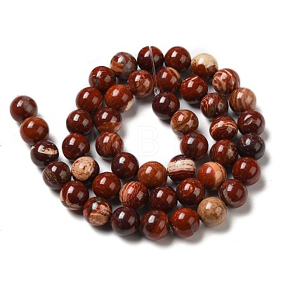 Natural Red Snakeskin Jasper Beads Strands X-G-H298-A02-03-1