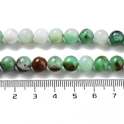 Natural Chrysoprase Beads Strands G-G057-A01-03-1