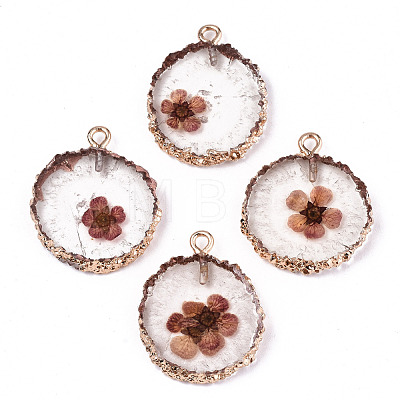 Transparent Clear Epoxy Resin & Dried Flower Pendants RESI-S383-075-D02-1