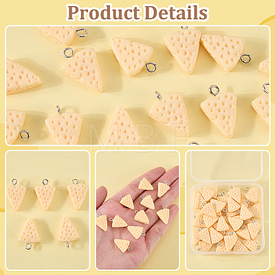 40Pcs Resin Pendants RESI-SC0006-88-1
