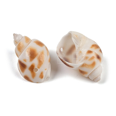 Natural Spiral Shell Beads SHEL-K009-17D-1