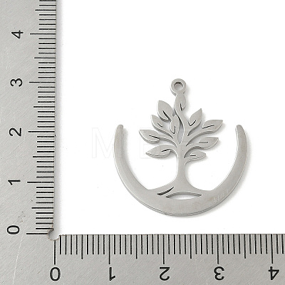 304 Stainless Steel Pendants STAS-V016-21P-1