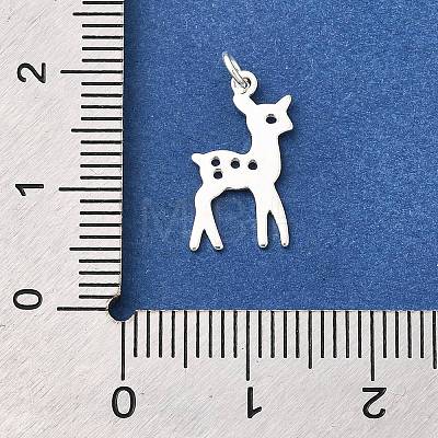 925 Sterling Silver Charms STER-B007-01S-03-1