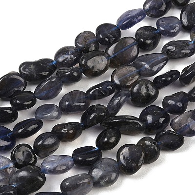 Natural Iolite Beads Strands G-C271-01-1