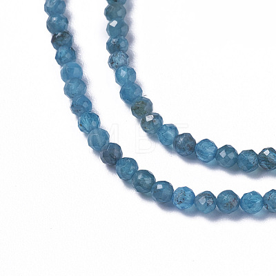 Natural Apatite Beads Strands G-F596-29-3mm-1