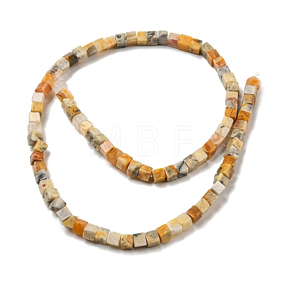 Natural Crazy Agate Beads Strands G-F631-K27-1