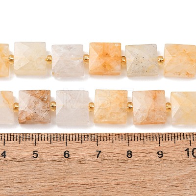Natural Yellow Hematoid Quartz/Golden Healer Quartz Beads Strands G-F839-A11-01-1