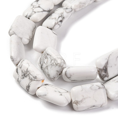 Natural Howlite Beads Strands G-T047-B23-01-1