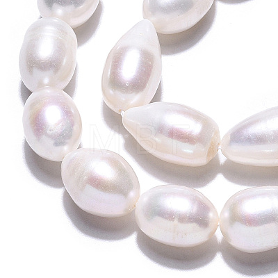 Natural Cultured Freshwater Pearl Beads Strands PEAR-N012-10B-1