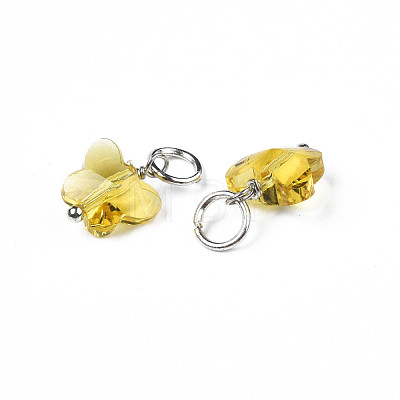 Faceted Transparent Glass Charms GLAA-T024-06L-1