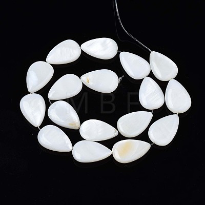 Natural Sea Shell Beads Strands SSHEL-Q296-43-1