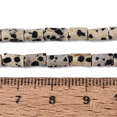 Natural Dalmatian Jasper Beads Strands GG-N002-01A-07-1