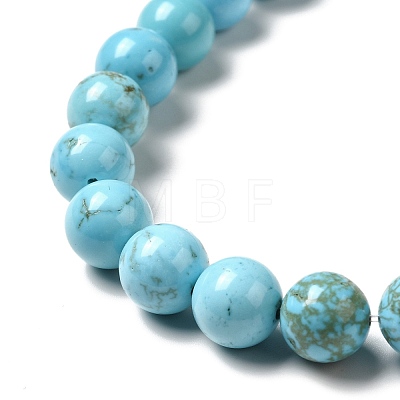Dyed & Heated Natural Magnesite Beads Strands G-G924-01B-01-1