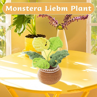 DIY Monstera Leaf Planter Knitting Kits for Beginners PW-WG45856-01-1