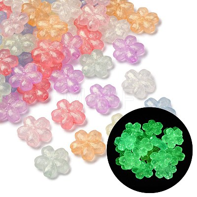 Luminous Transparent Acrylic Beads LACR-S001-15B-1