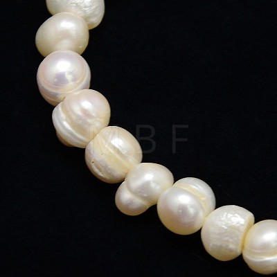 Natural Cultured Freshwater Pearl Beads Strands PEAR-L001-A-14-1