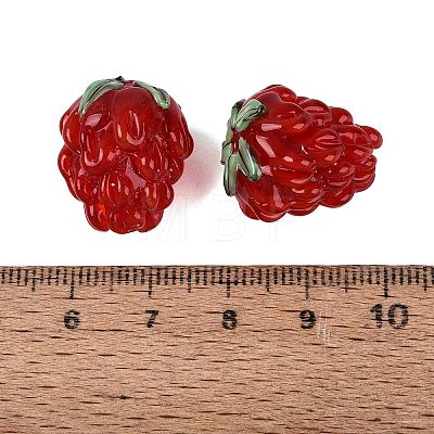 Handmade Lampwork Beads LAMP-N042-17A-1