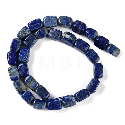 Natural Lapis Lazuli Beads Strands G-M403-D03-01-1