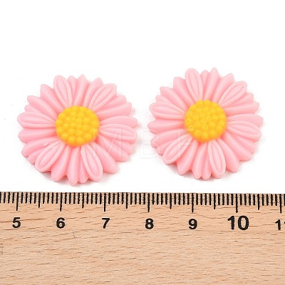 Opaque Resin Cabochons LS-RESI-XCP0002-48-1