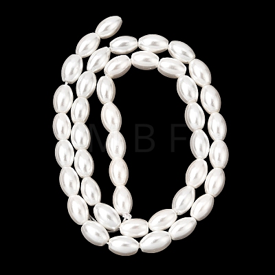 Electroplated Shell Pearl Beads Strands BSHE-C010-02-1