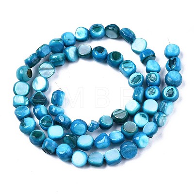 Natural Freshwater Shell Beads Strands SHEL-S276-110A-03-1