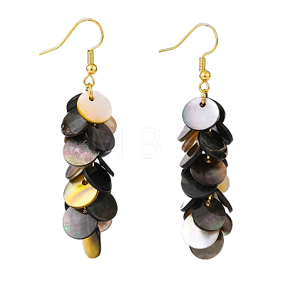 Natural Black Lip Shell Dangle Earrings EJEW-JE04370-1