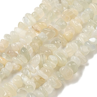 Natural White Moonstone Beads Strands G-P332-01-1