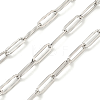 304 Stainless Steel Paperclip Chains STAS-F260-04P-1
