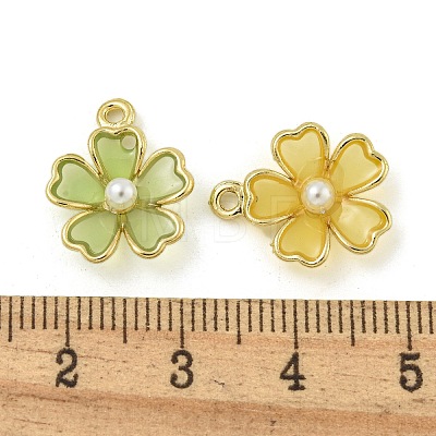 Alloy Resin Pendants FIND-M033-05-1