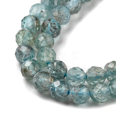Natural Apatite Beads Strands G-C052-07-1