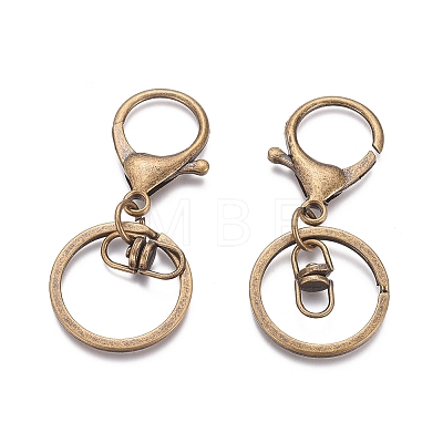 Iron Alloy Lobster Claw Clasp Keychain LS-X-KEYC-D016-AB-1