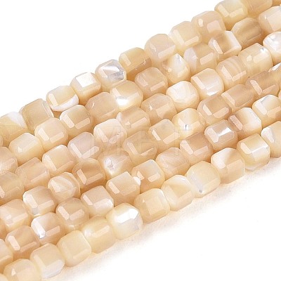 Natural Trochid Shell/Trochus Shell Beads Strands BSHE-T014-52A-02-1