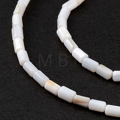 Natural Freshwater Shell Dyed Beads Strands SHEL-M018-12-12-1