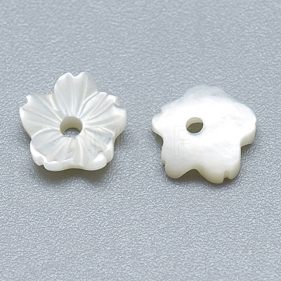Natural White Shell Beads SSHEL-S260-011-1