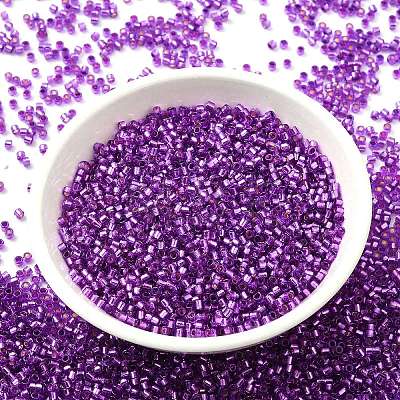 Glass Seed Beads SEED-S042-04B-20-1