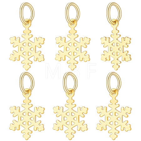 6Pcs 925 Sterling Silver Charms PALLOY-PH01951-1