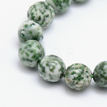Natural Green Spot Jasper Beads Strands X-G-L148-14mm-01-1