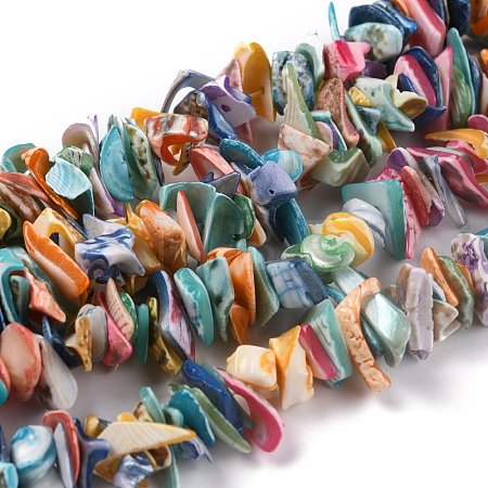 Natural Spiral Shell Beads X-BSHE-B003-17-1