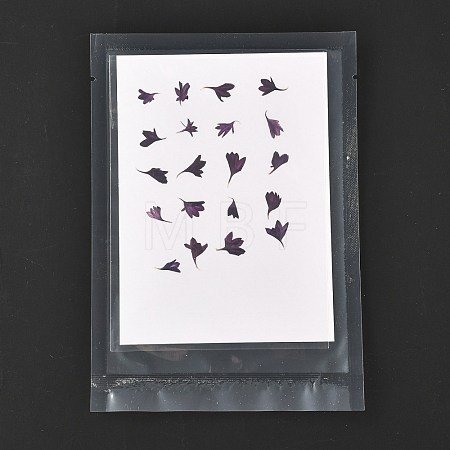 Cornflower Embossing Dry Flower DIY-K032-62D-1