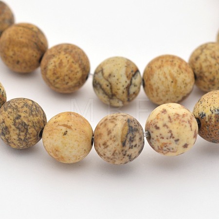 Natural Picture Jasper Beads Strands X-G-D659-8mm-1