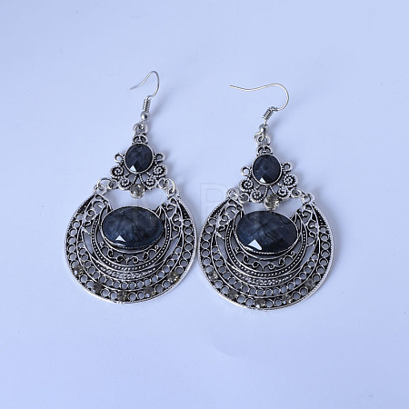 Bohemian Style Teardrop Alloy Dangle Earrings FS-WG803BC-05-1