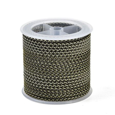11M Polyester Braided Cord with Cotton Core & Metallic Thread OCOR-Z006-01-28-1