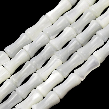 Natural Trochid Shell/Trochus Shell Beads Strands SH-CBA2978-12-1