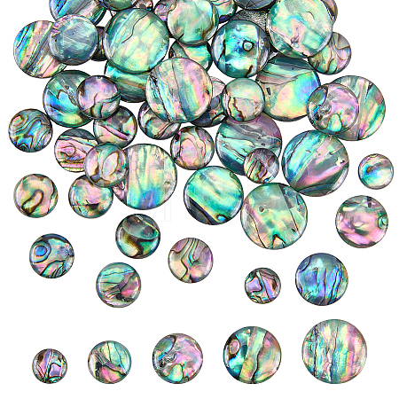16Pcs 4 Styles Natural Paua Shell Cabochons SHEL-WR0001-13-1