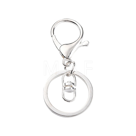 Iron Alloy Lobster Claw Clasp Keychain KEYC-D016-S-1