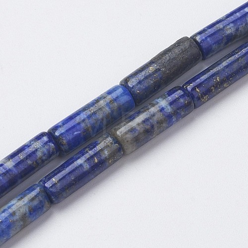 Natural Lapis Lazuli Beads Strands X-G-G968-F04-1